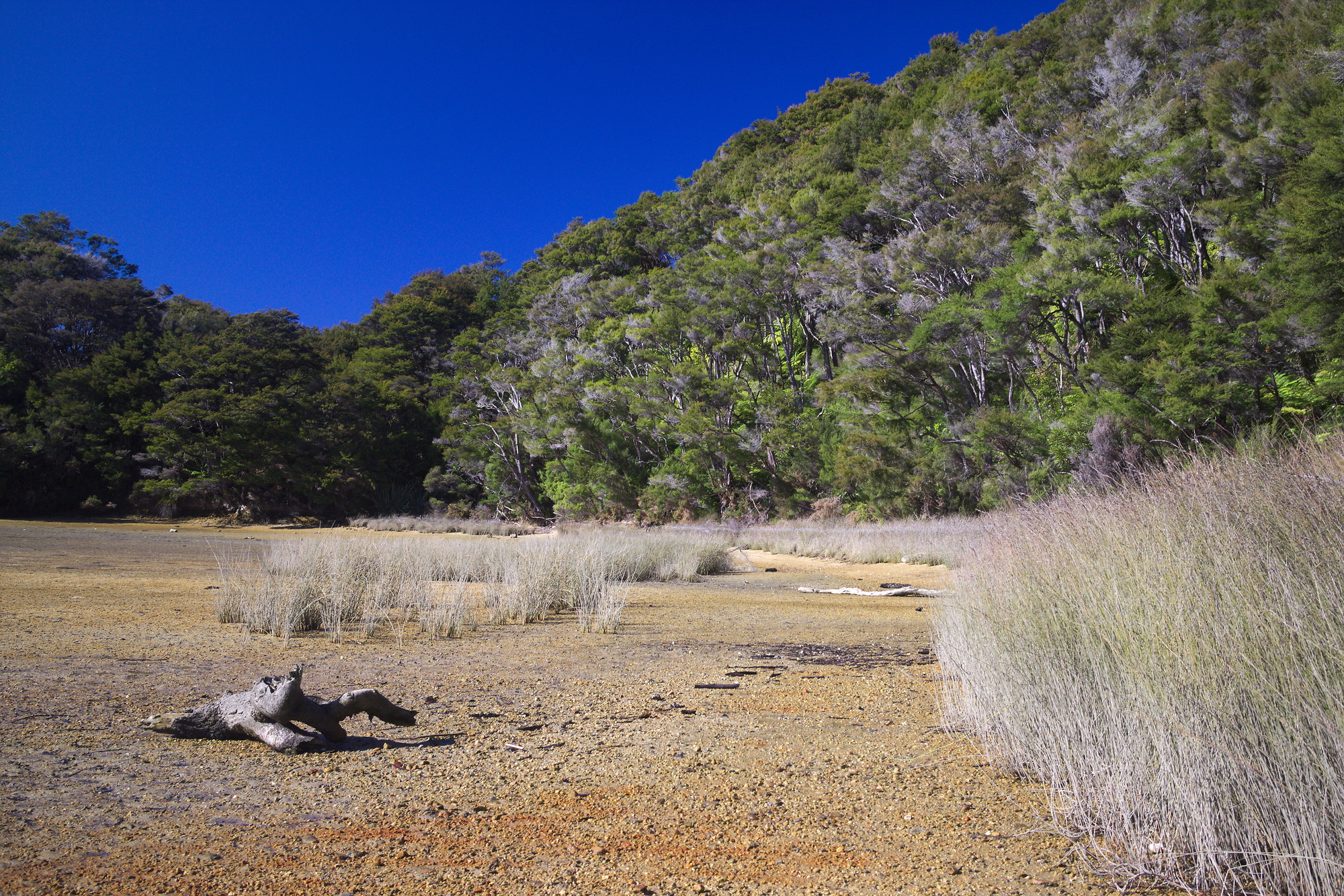 Awaroa Bay in Abel Tasman National Park