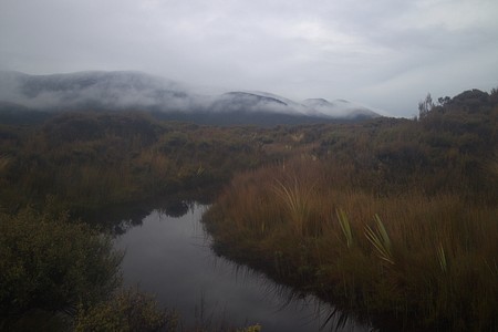 Grey morning on the North West Circuit of Stewart Island