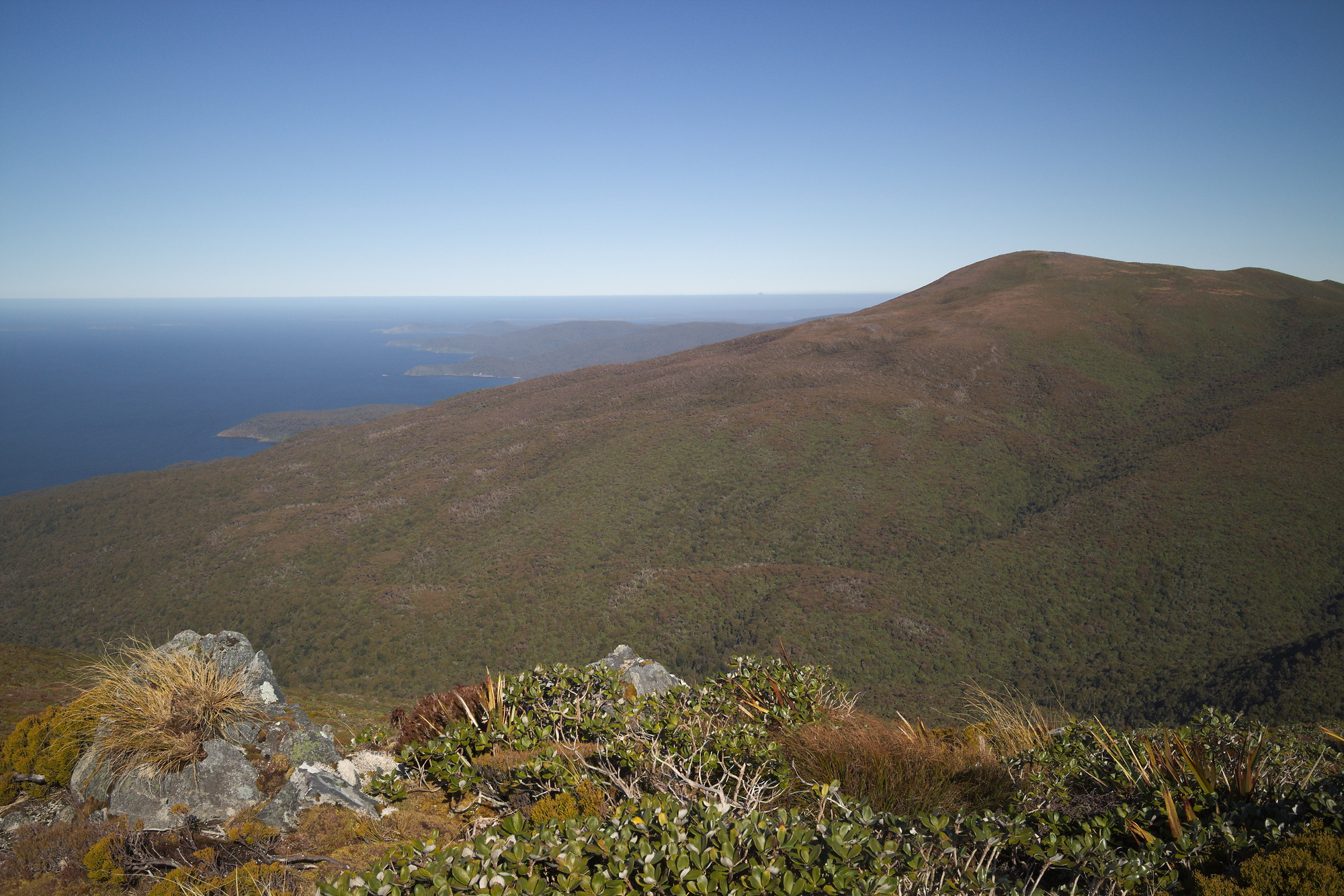 Lake below Mount Anglem, Stewart Island