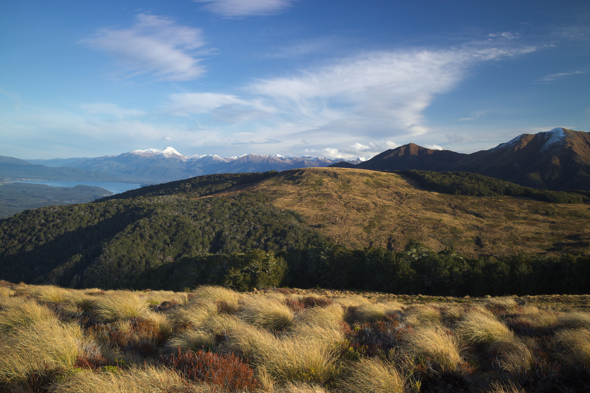 Kepler track in Fiordland National Park