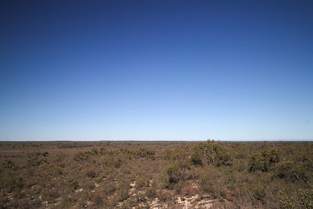 Little Desert National Park

#victoria #australia