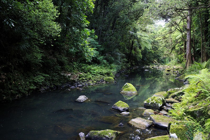 Whangarei