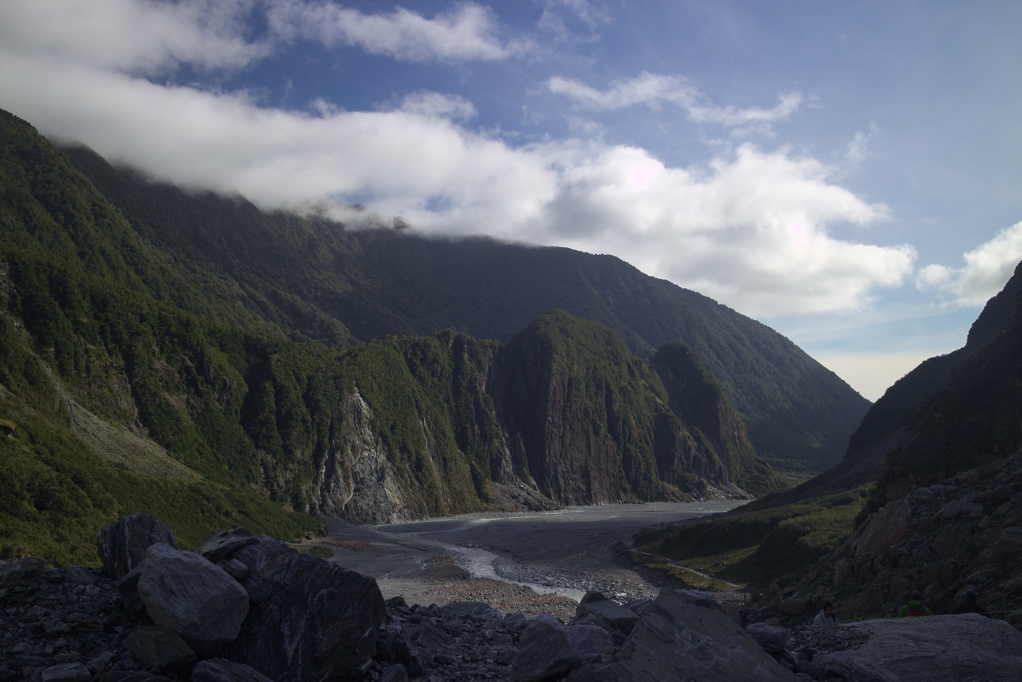 Fox Glacier