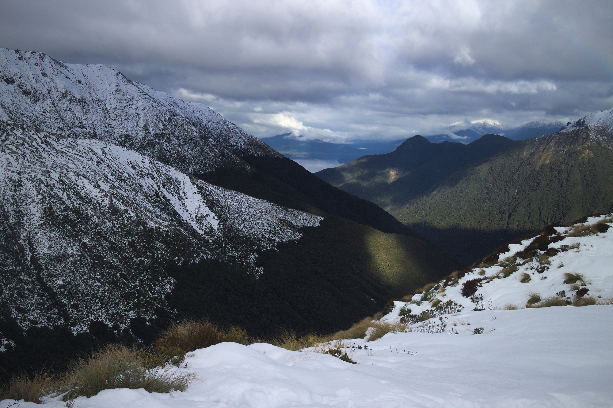 Kepler track in Fiordland National Park