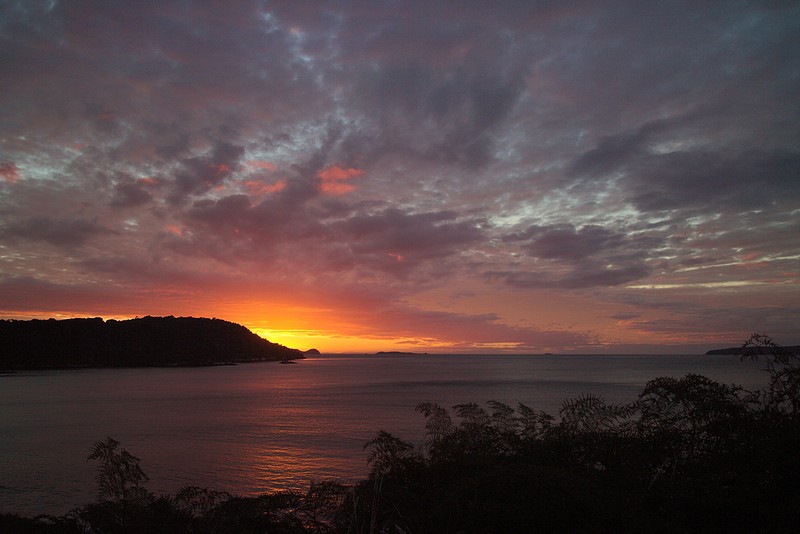 Sunrise on Rakiura (Stewart Island)