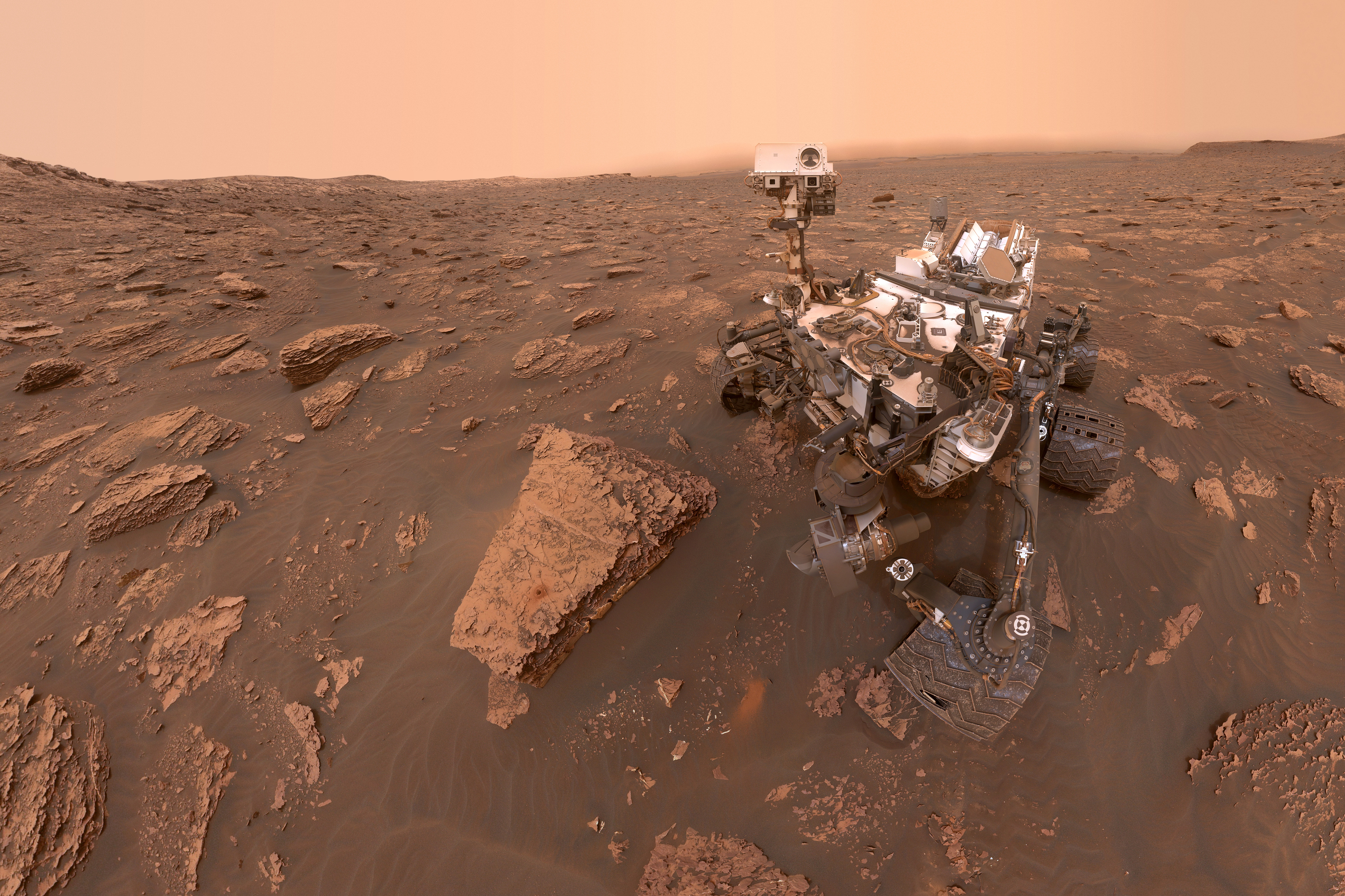 NASA Curiosity Mars rover selfie

Sol 2082