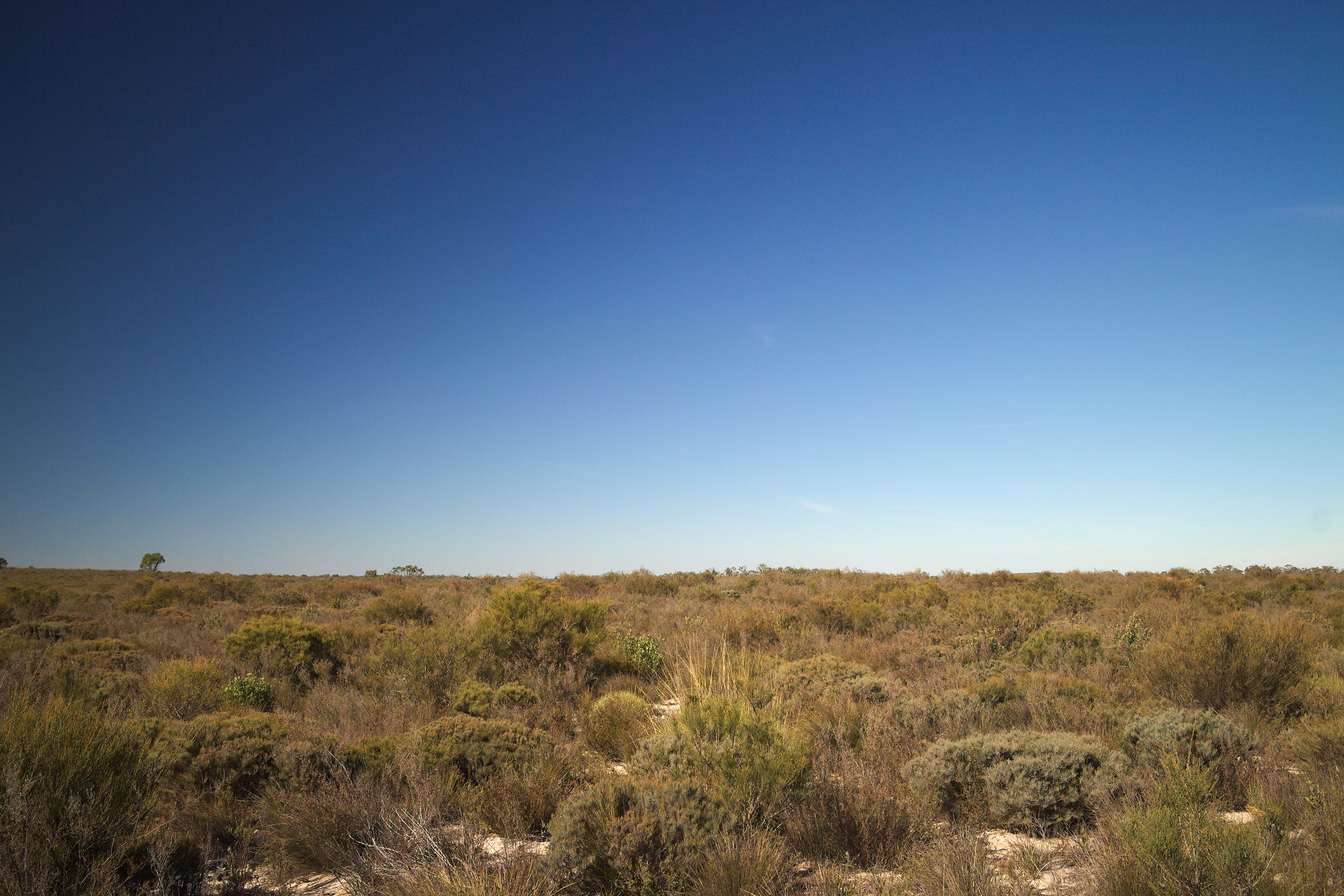 Little Desert National Park