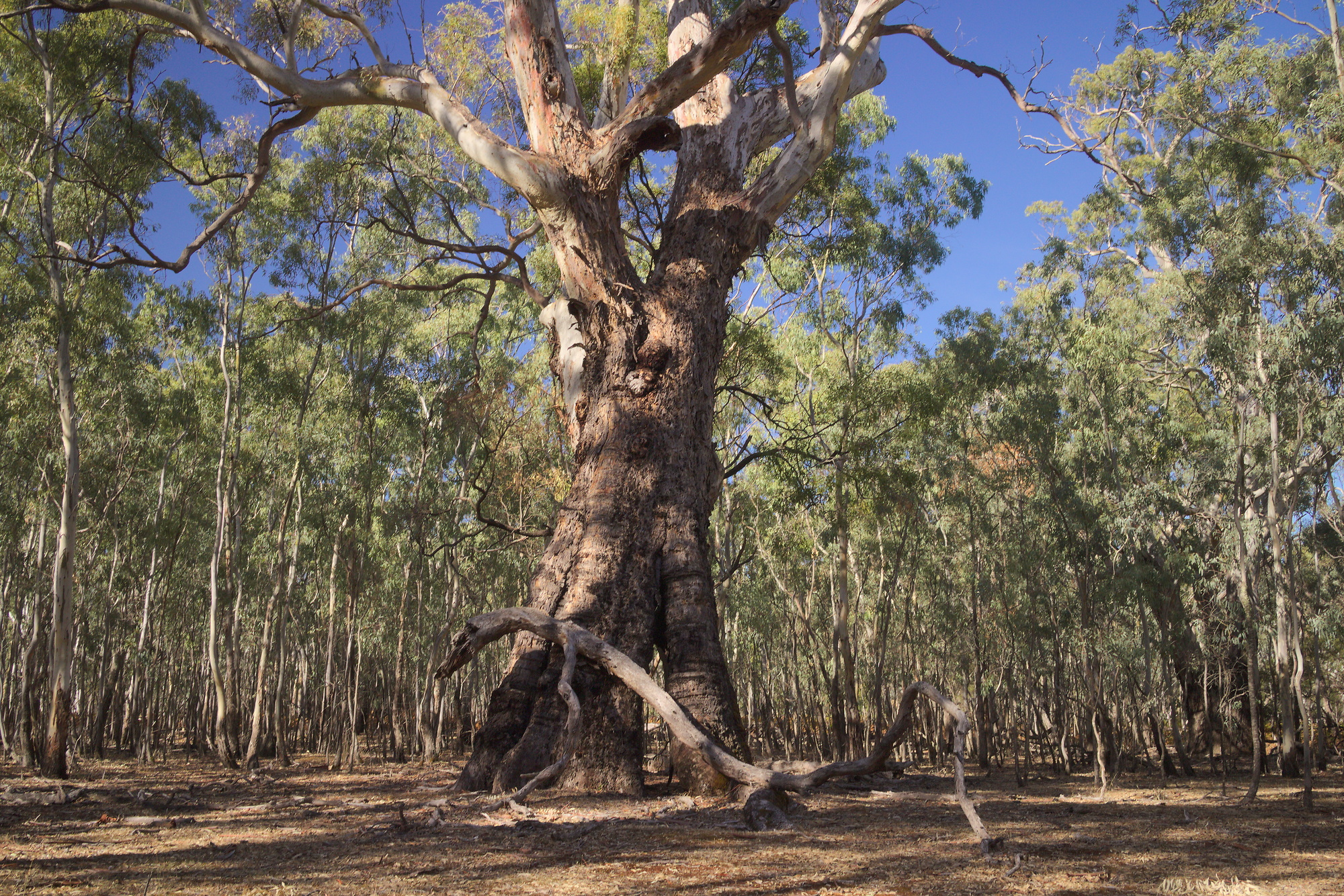 Grampians National Park