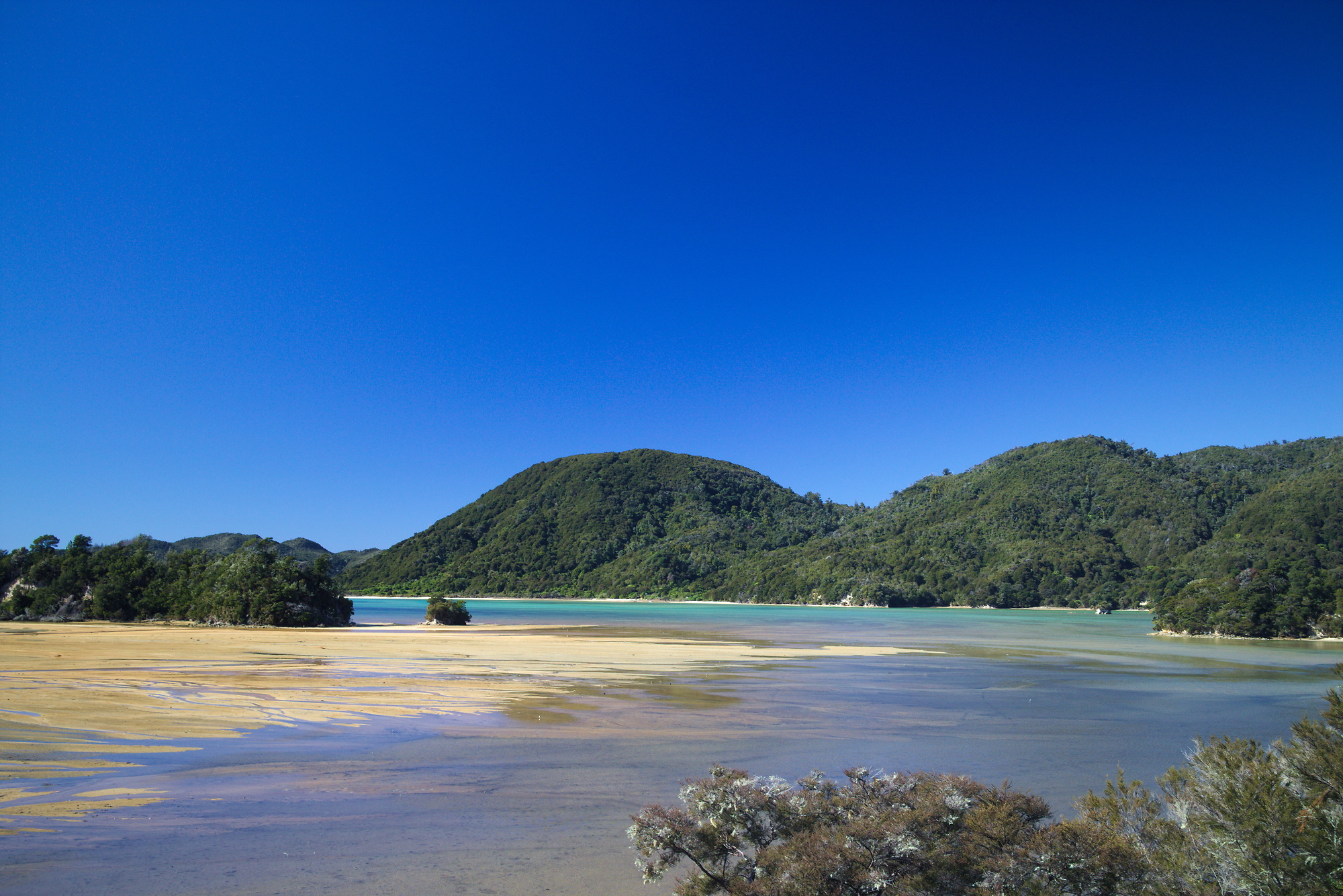 Awaroa Bay in Abel Tasman National Park