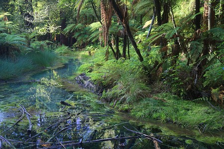 Rotorua