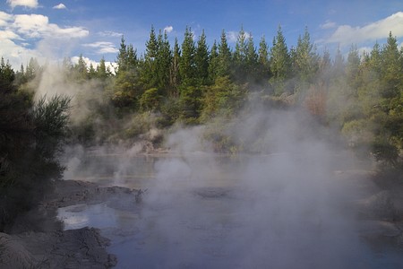 Hot spring near Rotorua