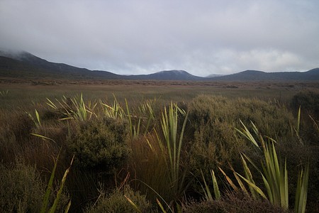 North West Circuit of Stewart Island