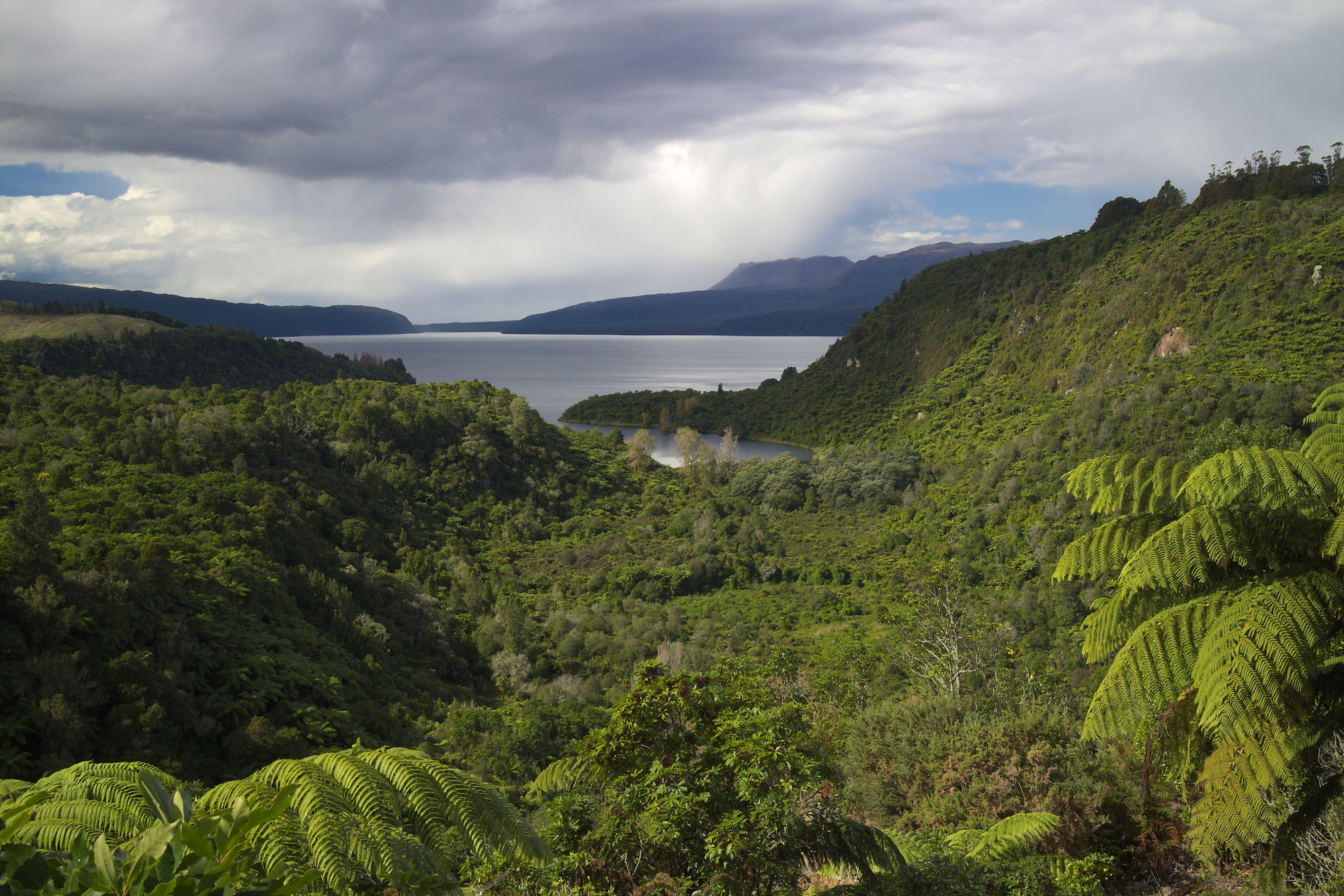 Lake Tarawera near Rotorua