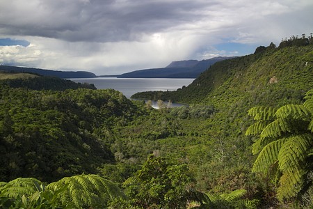 Lake Tarawera near Rotorua